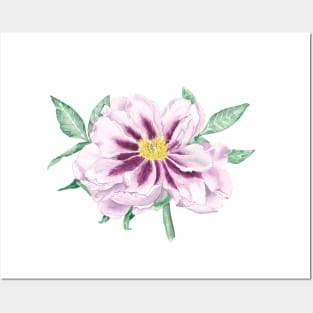 Tree peony Posters and Art